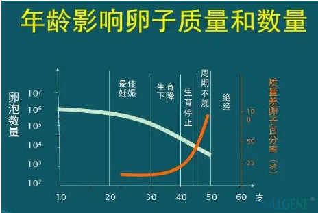 NMN在提高女性生育功能的作用机理是什么？