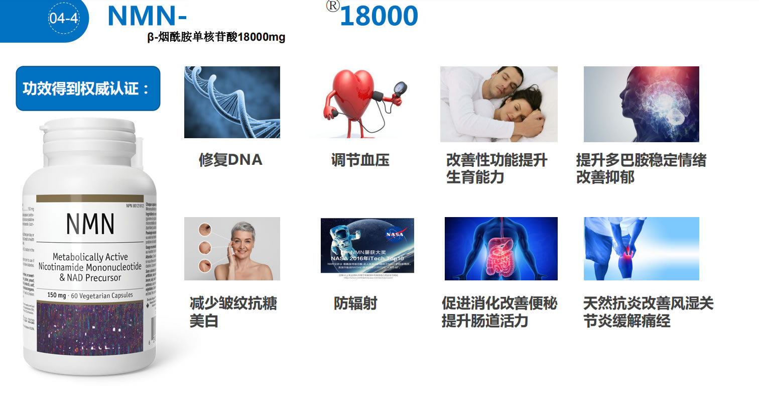 体内的NMN水平与抗衰老究竟有没有联系？