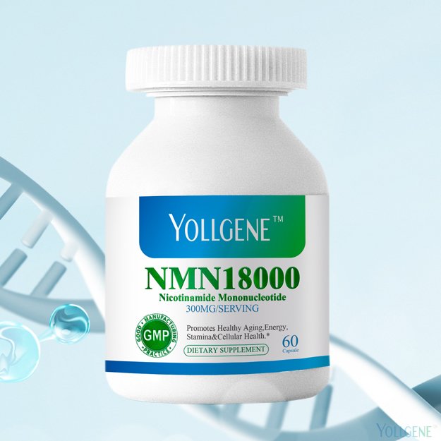 NMN为什么能够抗衰老？