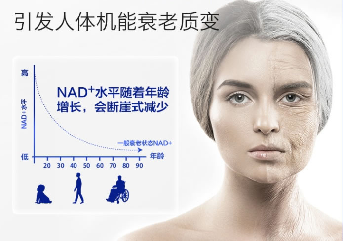 NMN真实效果揭秘，NMN为何可以抗衰老？